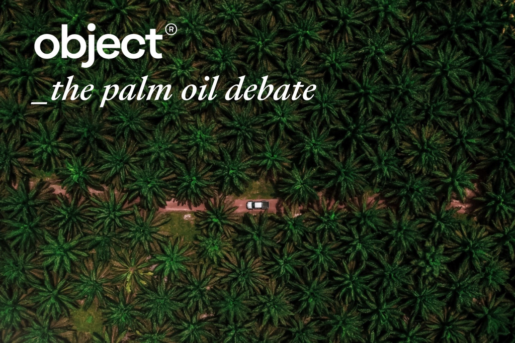 the palm oil debate